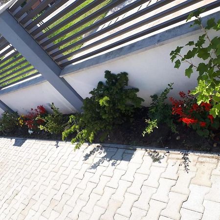 Apartament Saguna Sinnicolau Mare Екстер'єр фото